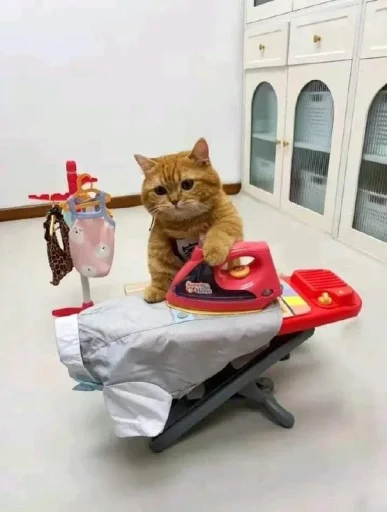 🤩 Стикер «Котяяяяя» для Telegram