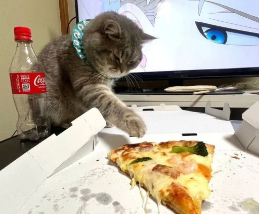 🤩 Стикер «Котяяяяя» для Telegram
