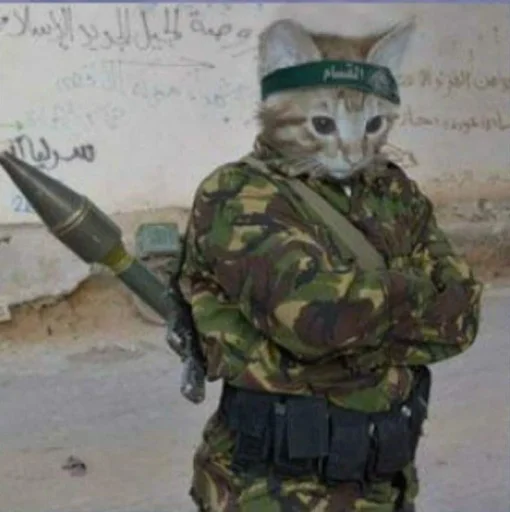 🤩 Стикер «Котяяяяя» для Telegram
