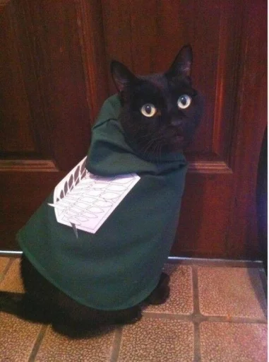 🤩 Стикер «Котяяяяя» для Telegram
