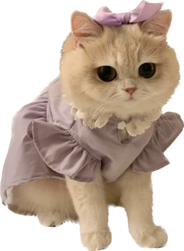 🎀 Стикер «kotyata nevduplyata» для Telegram