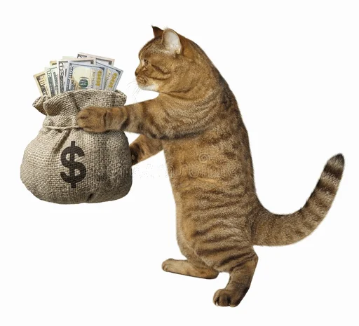 💰 Стикер «коты с бабками» для Telegram