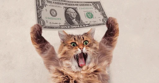 🤩 Стикер «коты с бабками» для Telegram