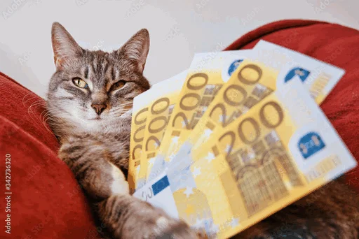 💶 Стикер «коты с бабками» для Telegram