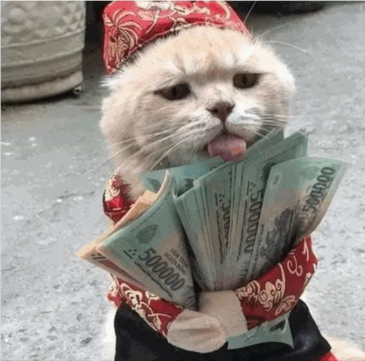 😜 Стикер «коты с бабками» для Telegram