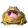 🐸 Эмодзи «квакушки» для Telegram