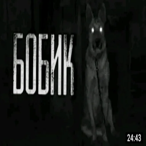 🐶 Стикер «КРИПОВЫЕ СТРАШНЫЕ ИСТОРИИ» для Telegram