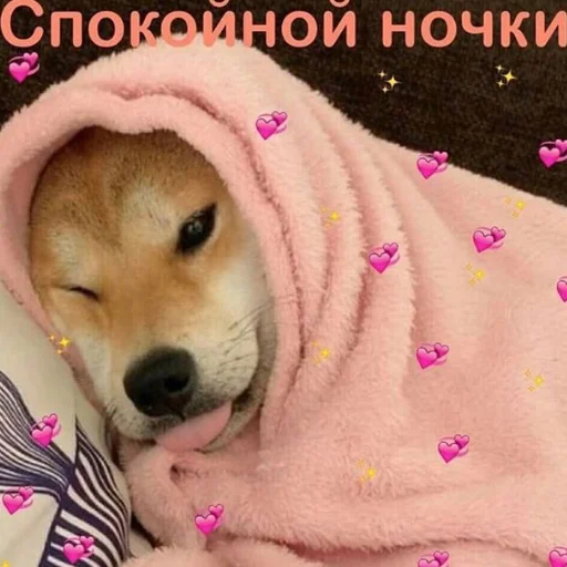 💕 Стикер «❤❤❤» для Telegram