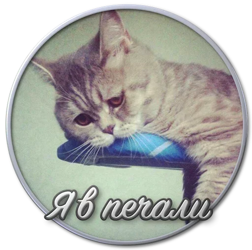 😚 Стикер «Paints» для Telegram