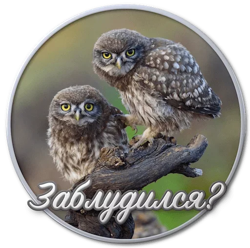 ☹️ Стикер «Paints» для Telegram