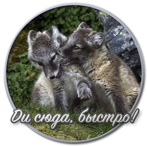 Стикерпак Paints для Telegram — скачать