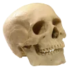 ☠️ Эмодзи «Эстетика Кринжá» для Telegram