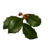 🎄 Эмодзи «Ästhetik» для Telegram