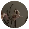 🌸 Эмодзи «study with» для Telegram