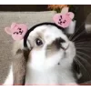 🤩 Эмодзи «Кроликсы» для Telegram