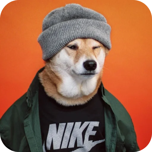 🧶 Стикер «КРУТЫЕ ПСЫ» для Telegram