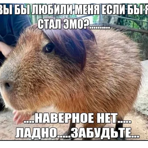 😥 Стикер «йоу» для Telegram