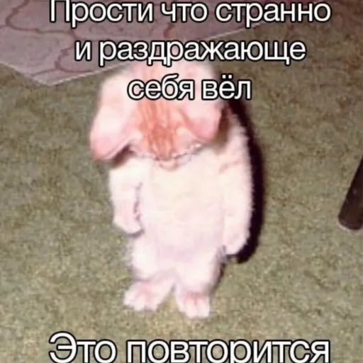 😞 Стикер «йоу» для Telegram