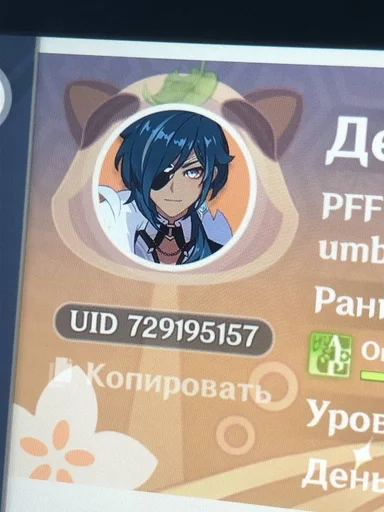 🦝 Стикер «генш» для Telegram