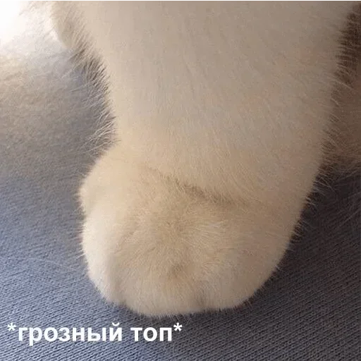 😠 Стикер «kslmzh&;s» для Telegram