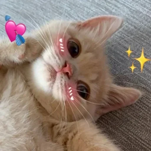 💘 Стикер «kslmzh&;s» для Telegram