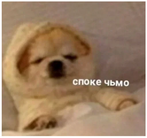 😴 Стикер «kslmzh&;s» для Telegram