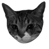 🌟 Эмодзи «Bw» для Telegram