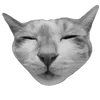 🌟 Эмодзи «Bw» для Telegram