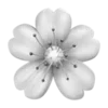 🌸 Эмодзи «Bw» для Telegram