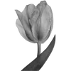 🌟 Эмодзи «Bw» для Telegram