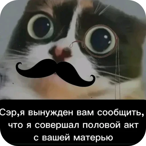 🥽 Стикер «Куки» для Telegram