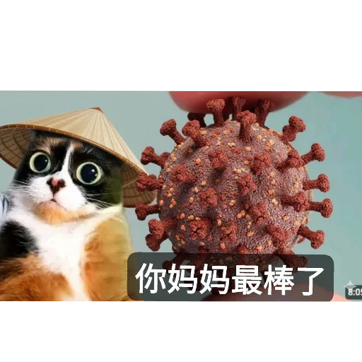 🐱 Стикер «Куки» для Telegram