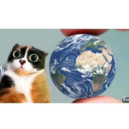 🐱 Стикер «Куки» для Telegram