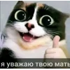 🤩 Эмодзи «Куки кот» для Telegram