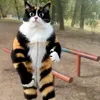 🤩 Эмодзи «Куки кот» для Telegram