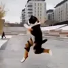 🤩 Эмодзи «Куки кот» для Telegram