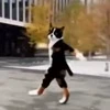🤩 Эмодзи «Куки» для Telegram
