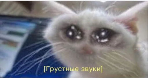💔 Стикер «kulichsdoh» для Telegram