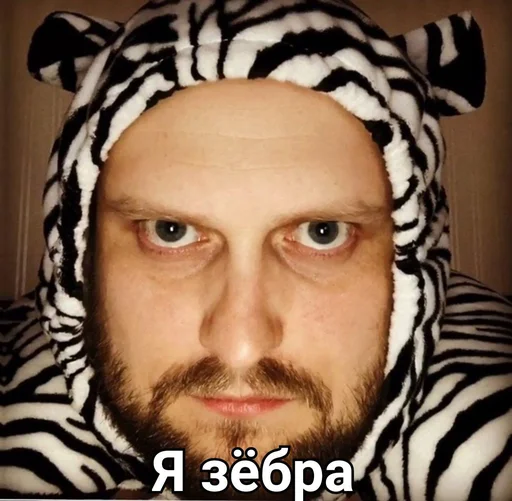🦓 Стикер «KUPLINOV» для Telegram