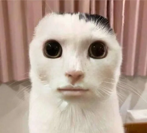 ☃️ Стикер «kuropotik» для Telegram