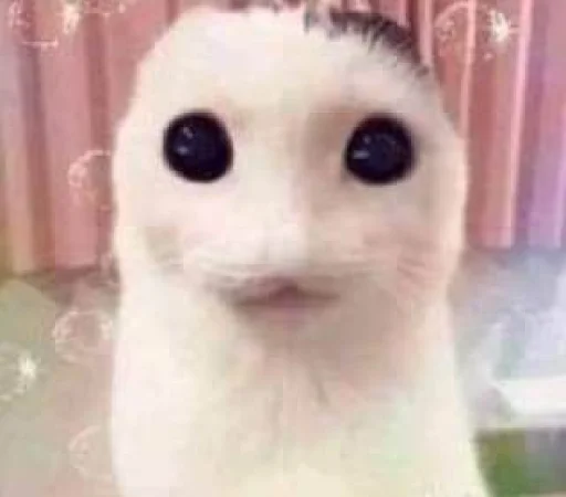 ☃️ Стикер «kuropotik» для Telegram