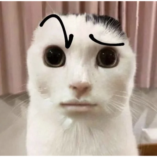 ☃️ Стикер «kuropotik» для Telegram