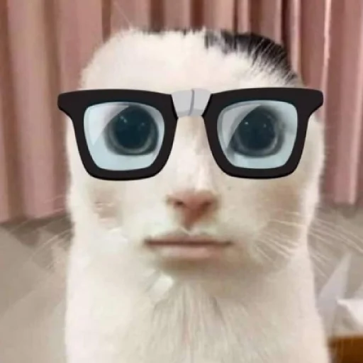 ☃️ Стикер «kuropotik» для Telegram