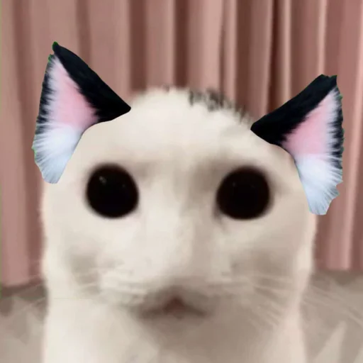 ☃️ Стикер «kuropotik» для Telegram