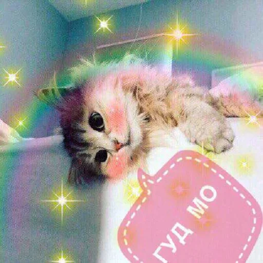 Стикерпак Кусь part 2 для Telegram — скачать