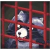 😬 Эмодзи «Кусю» для Telegram
