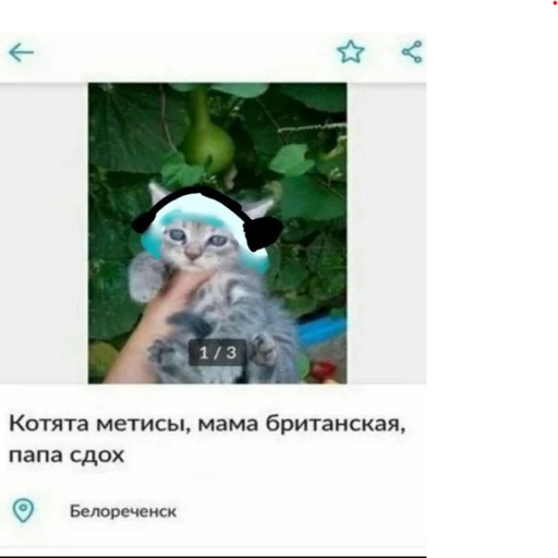 👨‍👨‍👦‍👦 Стикер «kwladlwa» для Telegram