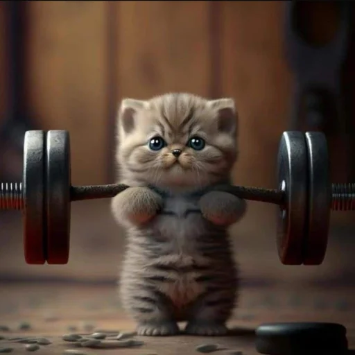 💪 Стикер «kwladlwa» для Telegram