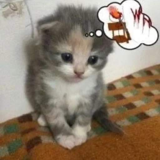 🔪 Стикер «kwladlwa» для Telegram