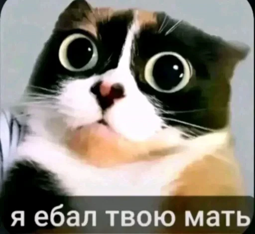Стикерпак КУКI для Telegram — скачать
